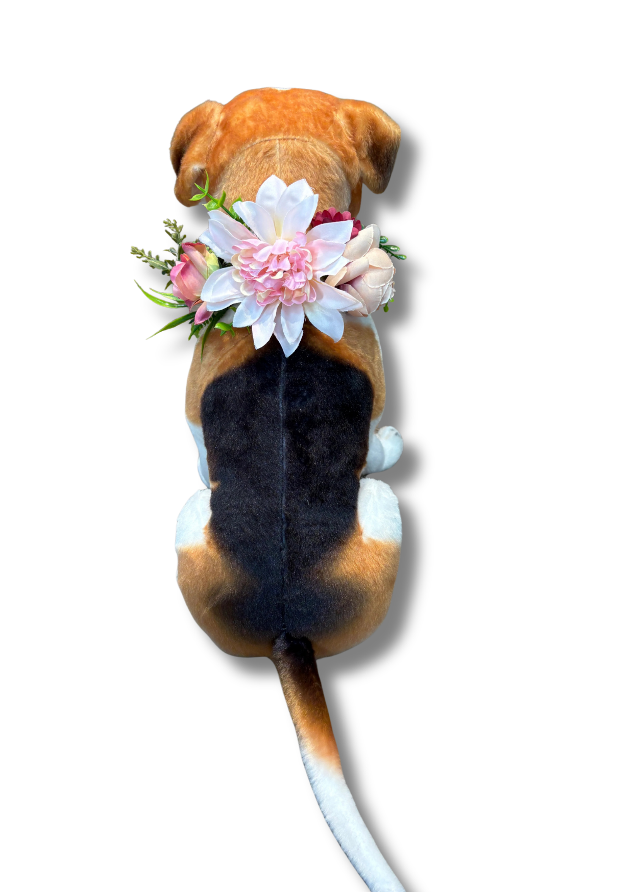 wedding collar