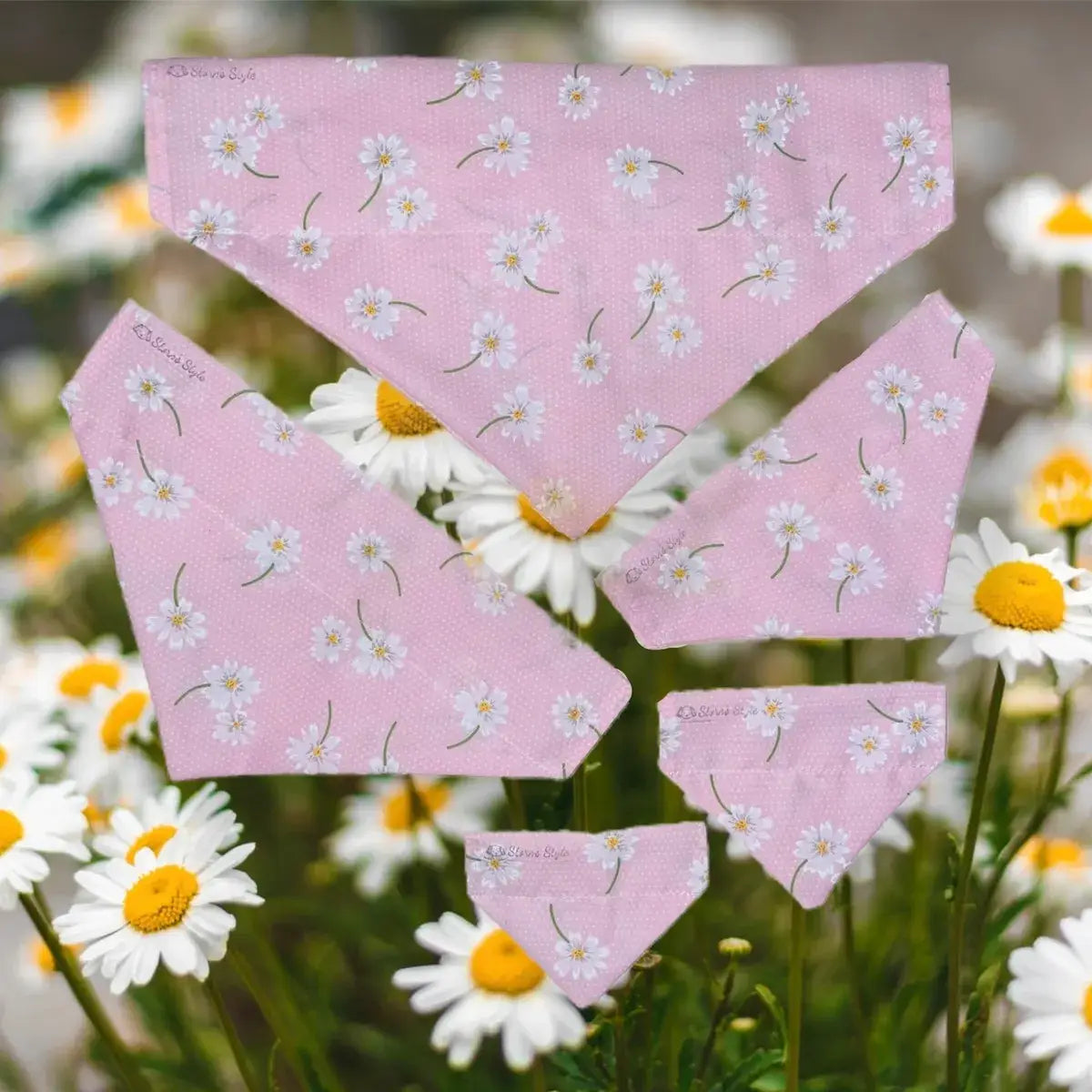 Storms Style - Pink Daisy Daisies Pet Bandanas - Dog Cat - Spring, Summer