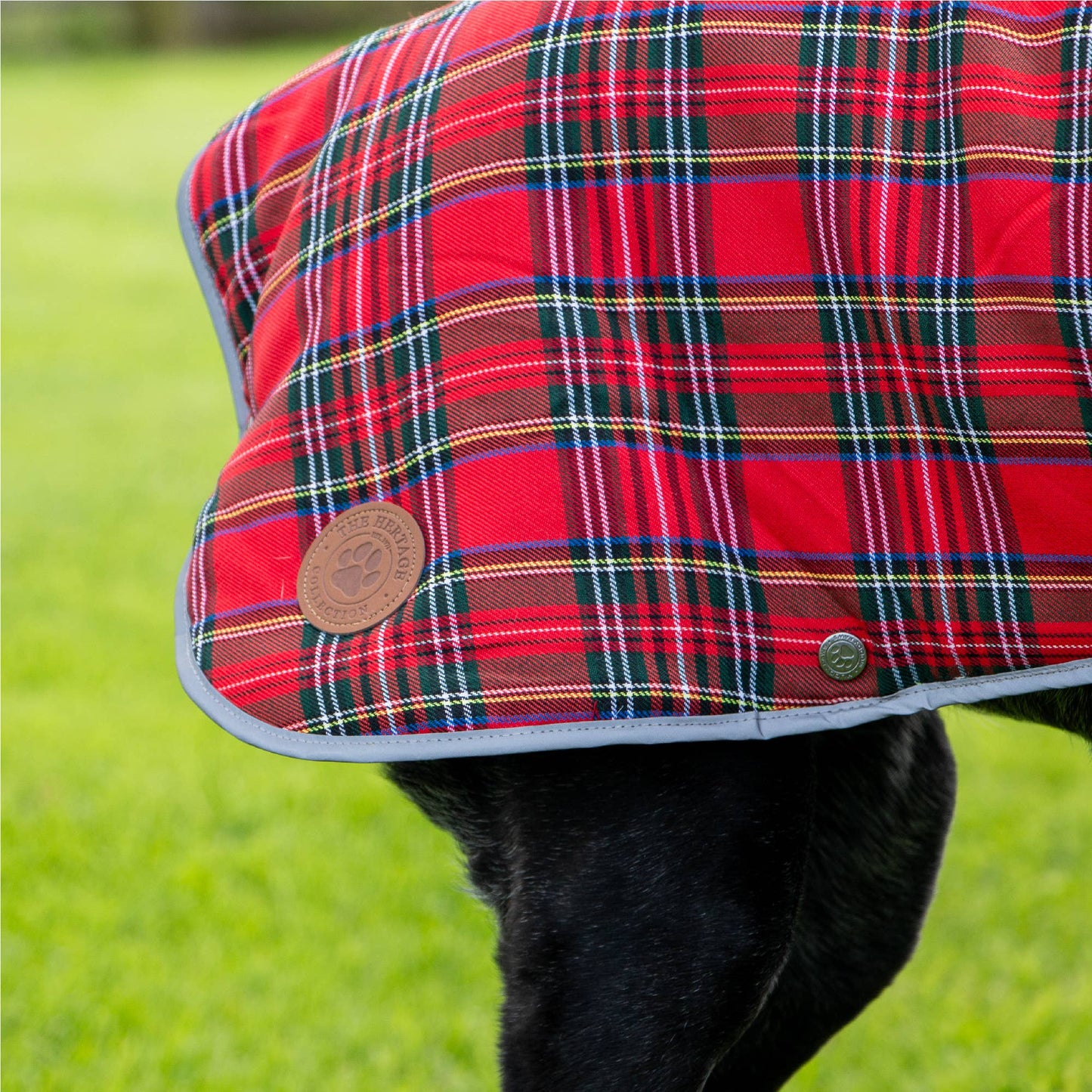 Ancol Pet Products Ltd - Heritage Wax Highland Tartan Coat XS-XL