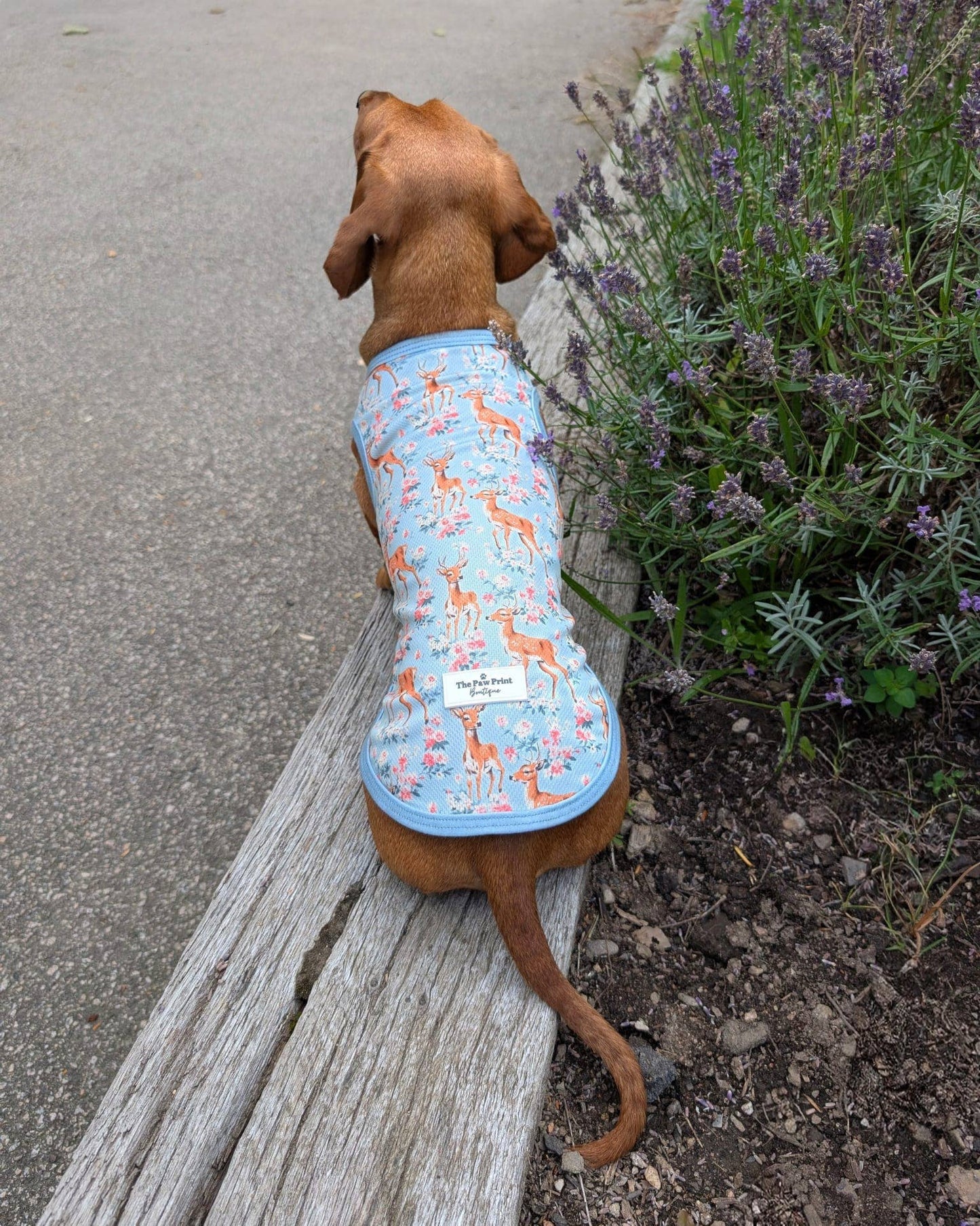 The Paw Print Boutique - Bambi in Bloom Cooling Vest