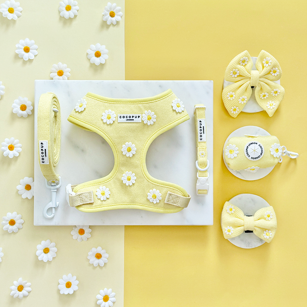 Cocopup London - Buttercup Pup COLLAR