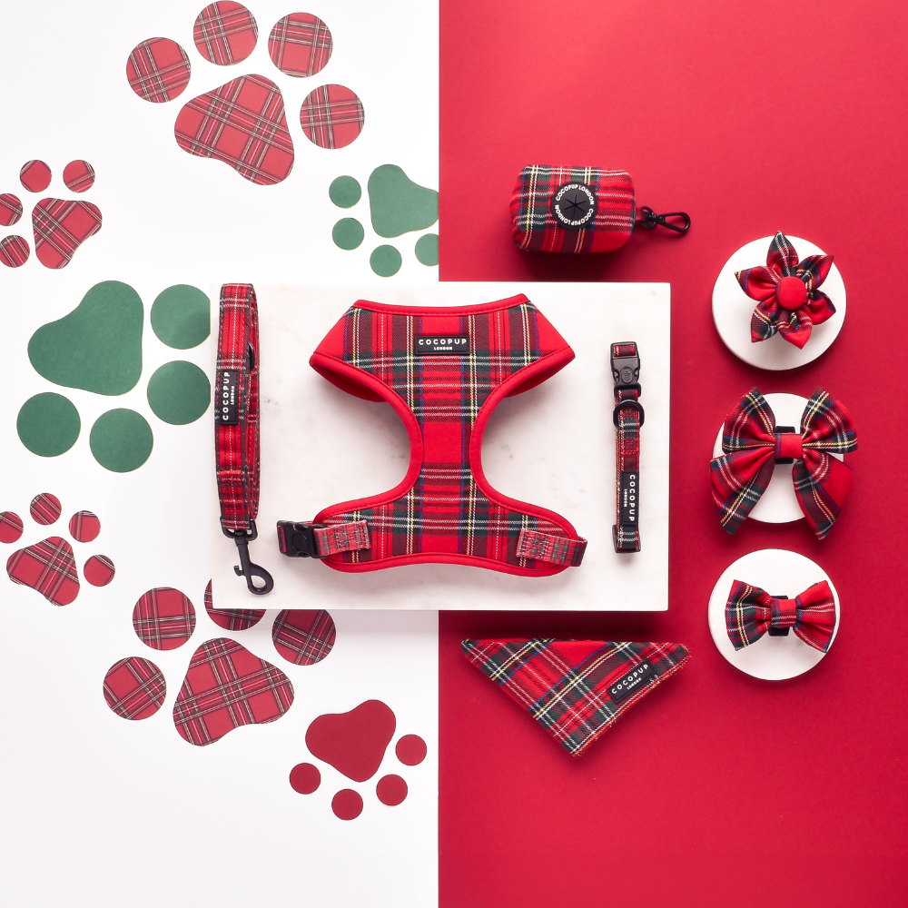 Cocopup London - Tartan Bow Tie
