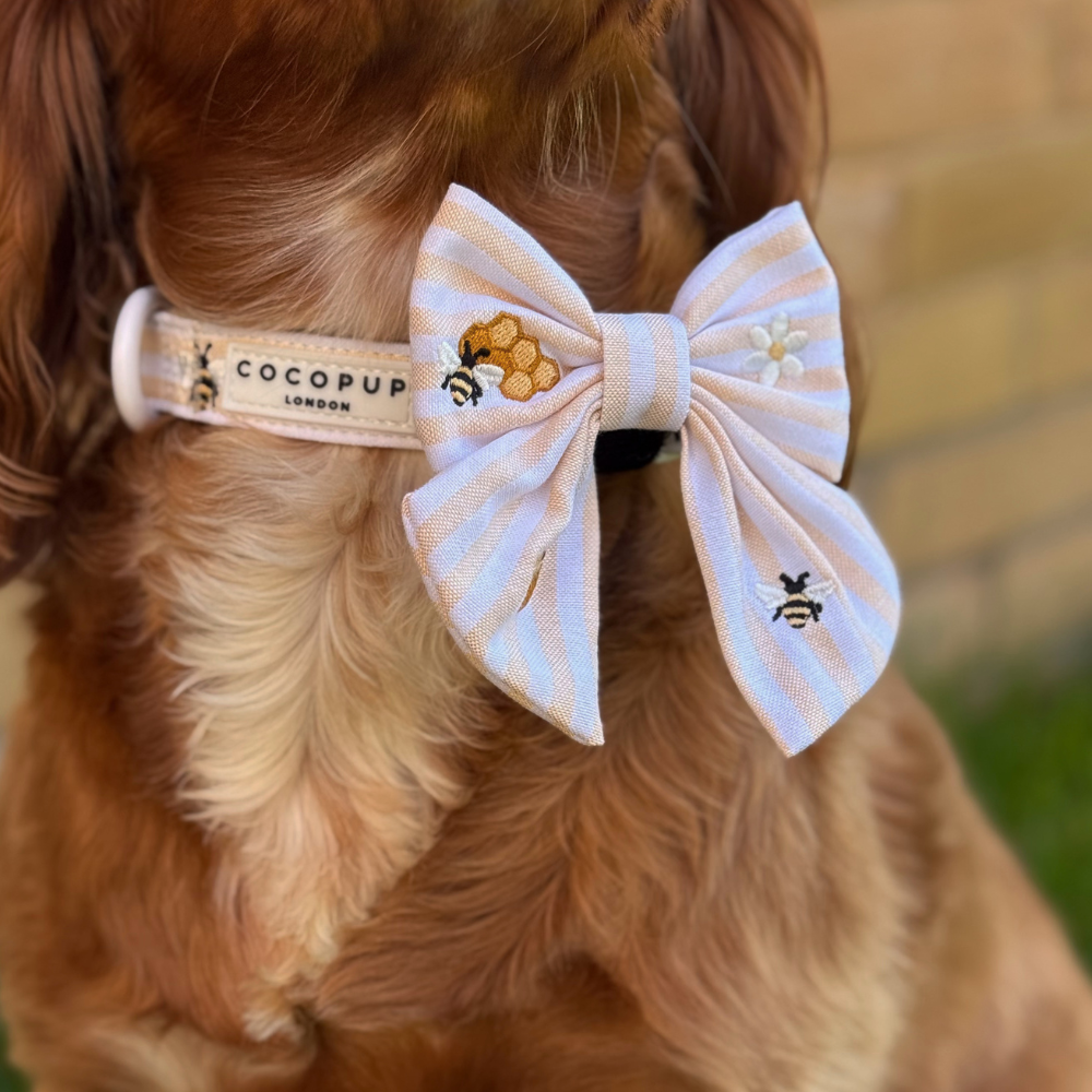 Cocopup London - Honey Meadow COLLAR