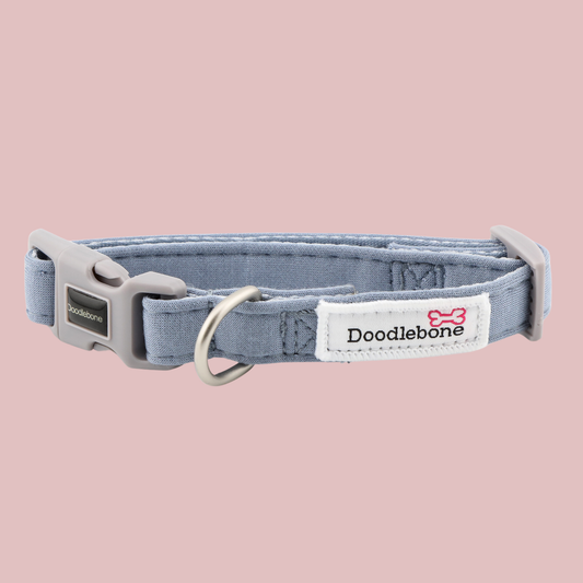 Doodlebone - Dinky Dog Collar