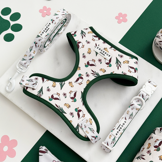 Cocopup London - Puddle Pup Lead