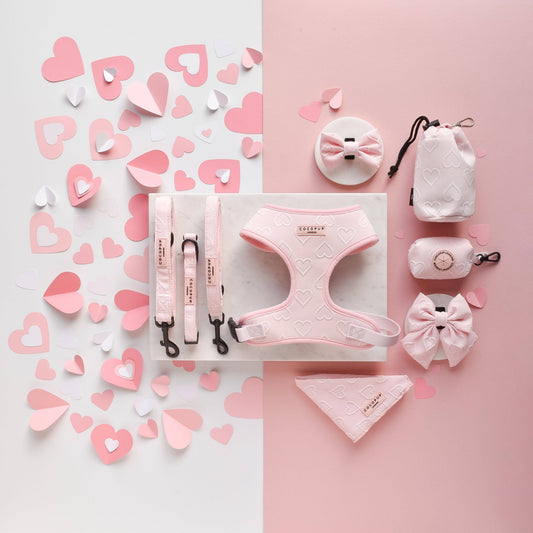 Cocopup London - Luxe Collar - Baby Pink Heart
