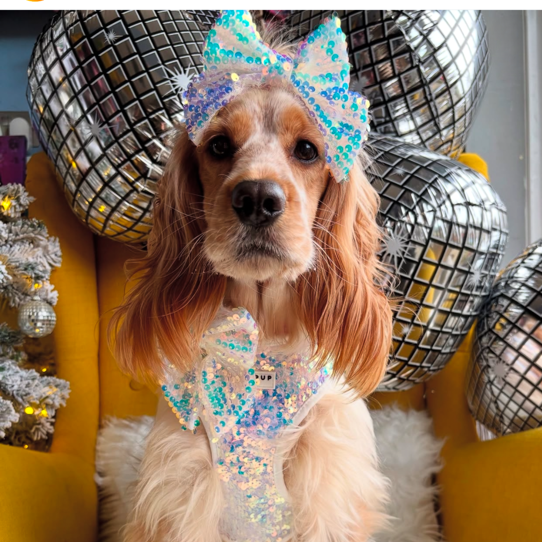 Cocopup London - Limited Edition LUXE Party Holographic Sequin Sailor Bow Tie