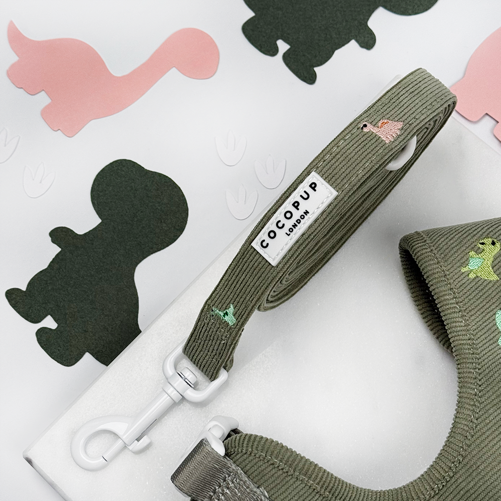 Cocopup London - Dino Doodles Lead