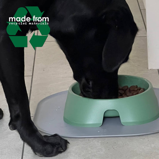 Ancol Pet Products Ltd - Large Feeding Bowl Made From Recycled Plastics- Green
