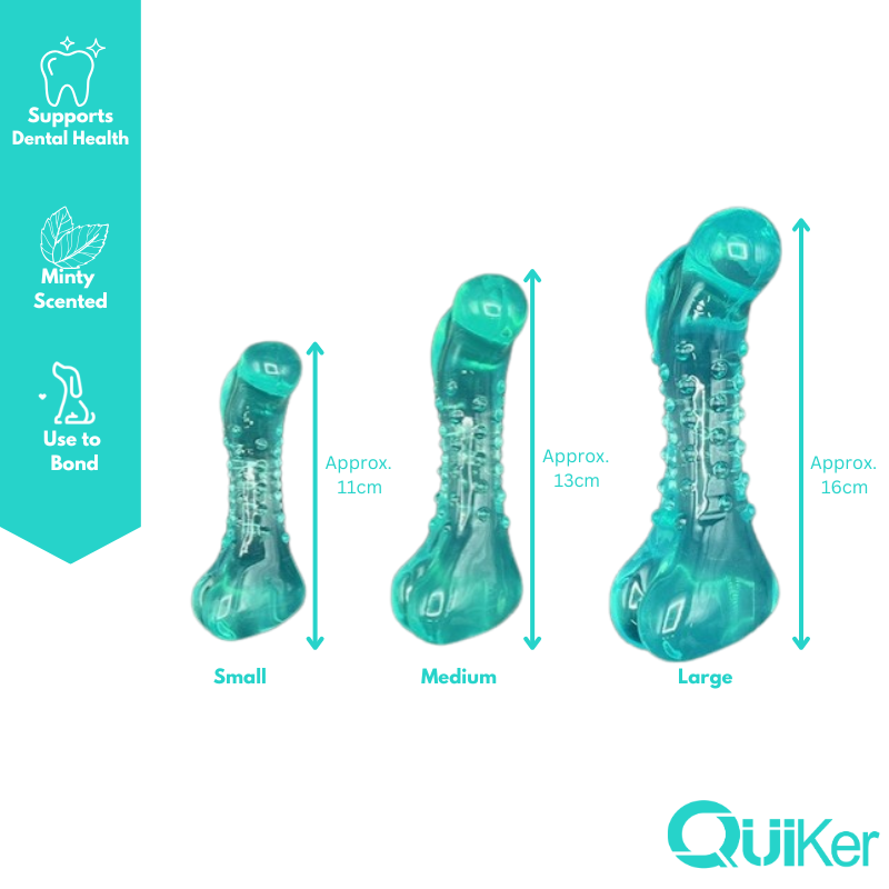 Quiker Pet Products - Minty TPR 13.5cm Dental Dog Toy - Medium