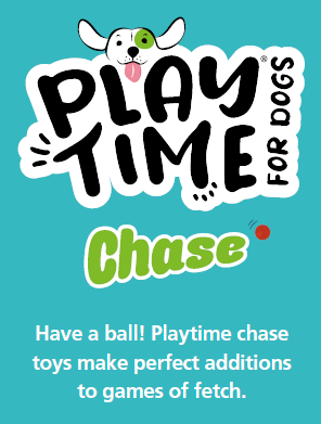 Ancol Pet Products Ltd - Play Time for Dogs Chase Tough Rubber Ball