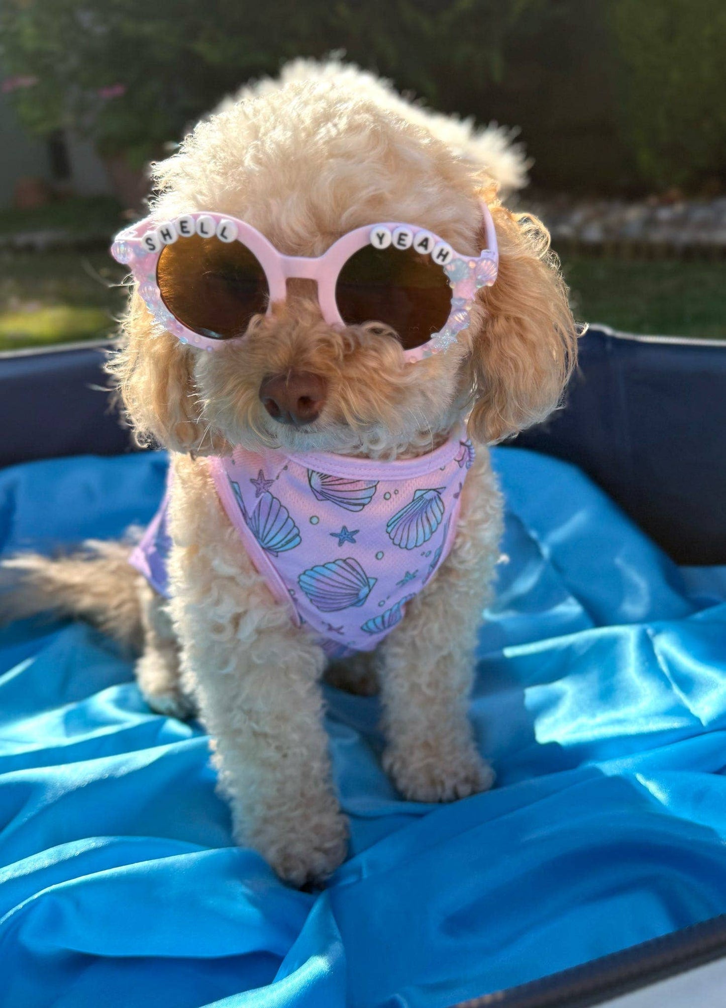 The Paw Print Boutique - The Mermaids Tails Cooling Vest