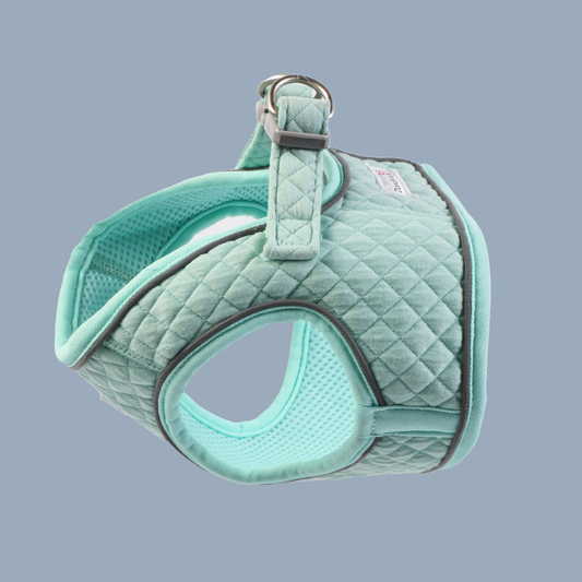 Doodlebone - Dinky Dog Snappy Harness