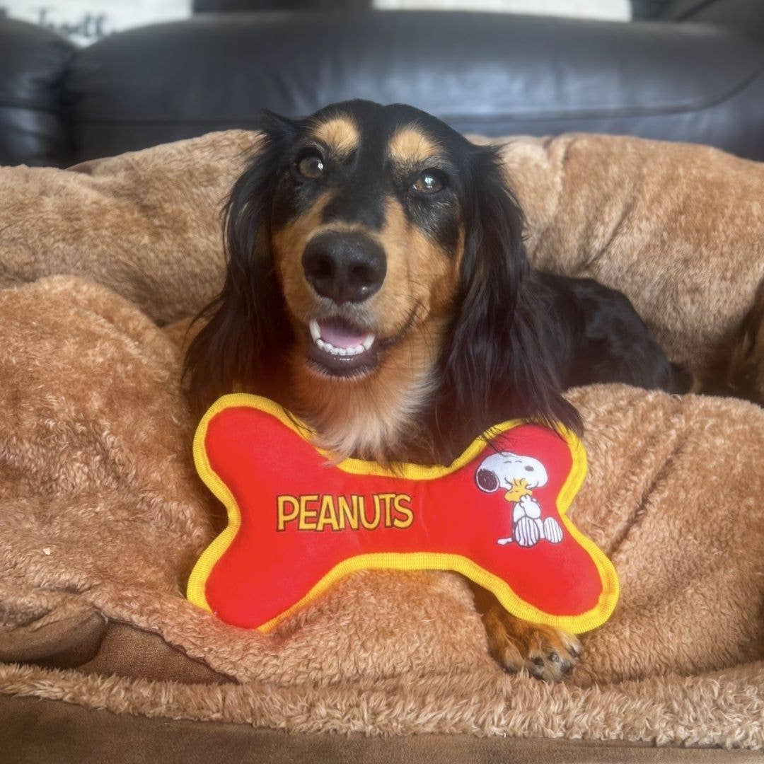 Fizz Creations Ltd - UK - Peanuts Bone Dog Toy