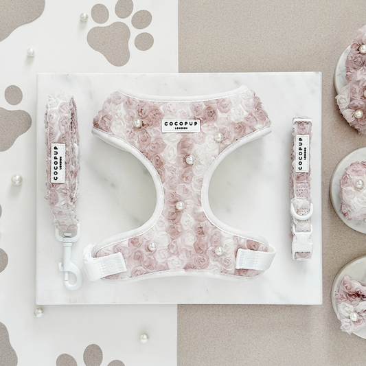 Cocopup London - Pearly Pup Lead