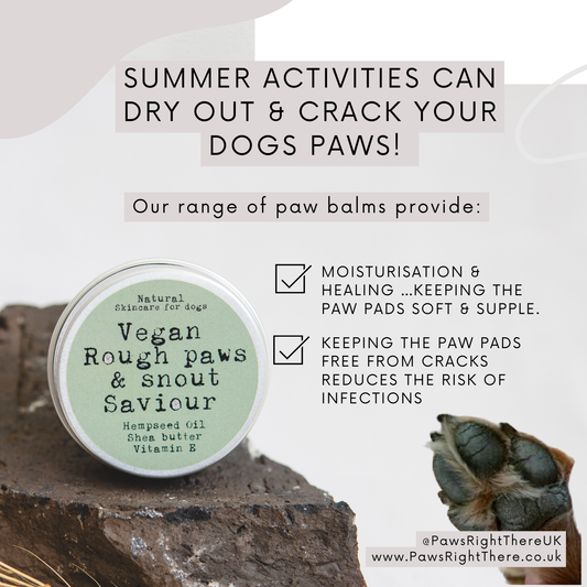 Paw & Nose Balm | VEGAN | 100% NATURAL | PLASTIC FREE | ECO