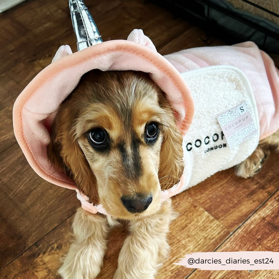 Cocopup London - Pupicorn Drying Robe