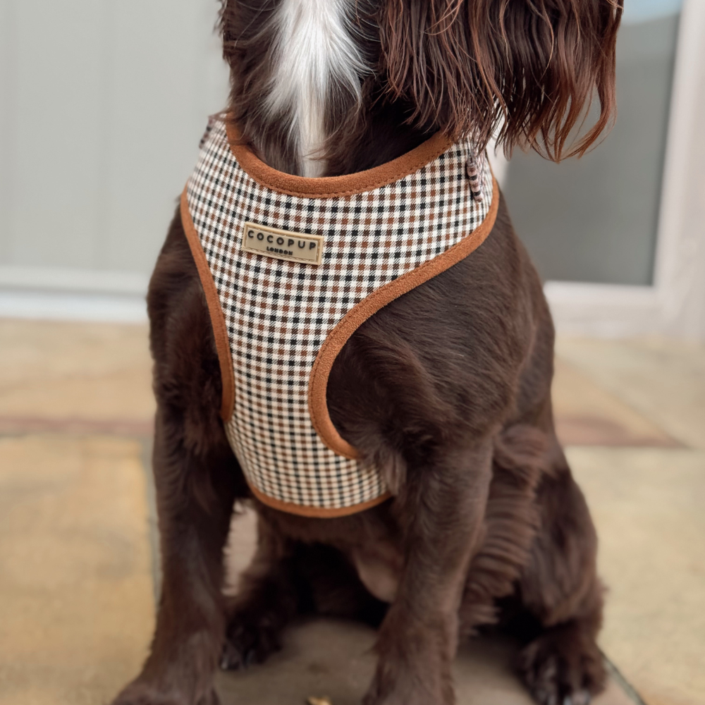 Cocopup London - Heritage Check Adjustable Neck HARNESS
