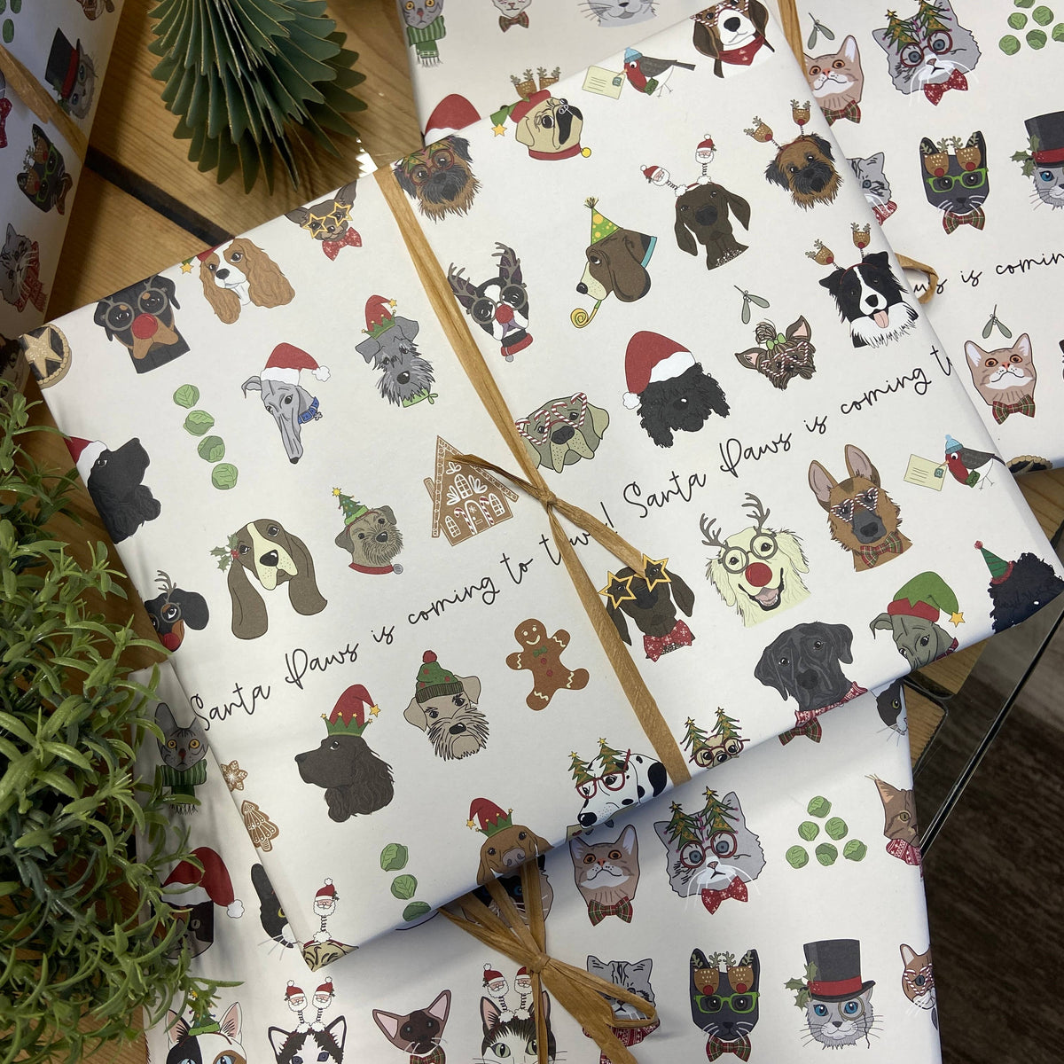 Dandelion Stationery - Gift Wrap - Santa Paws - Dogs