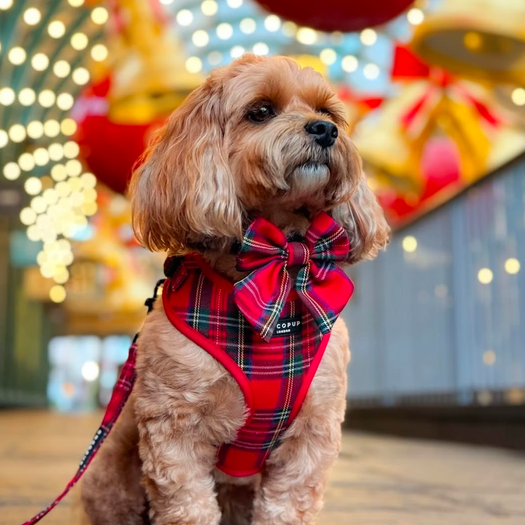 Cocopup London - Tartan Sailor Bow Tie