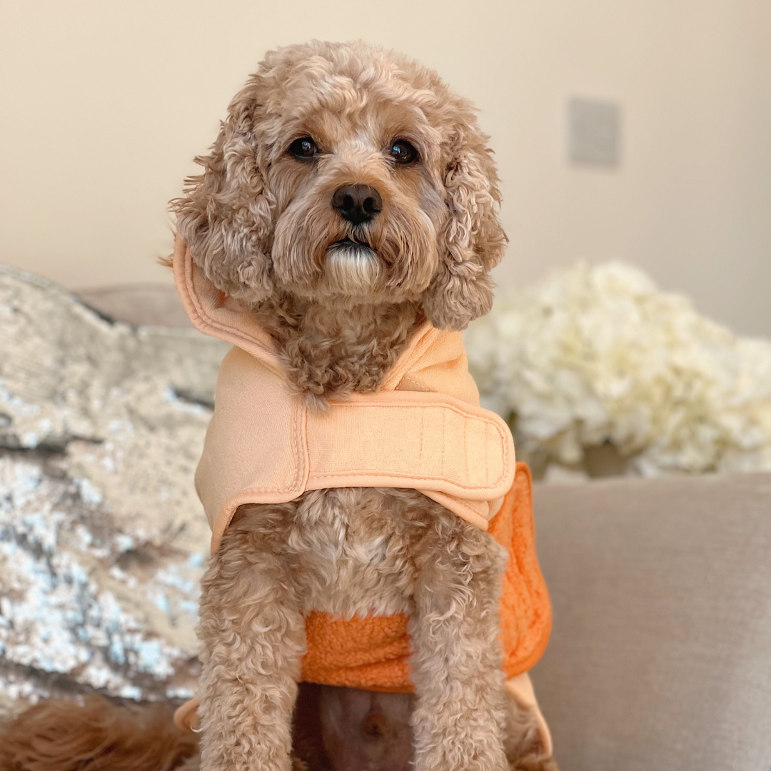 Cocopup London - Roary the Lion Drying Robe