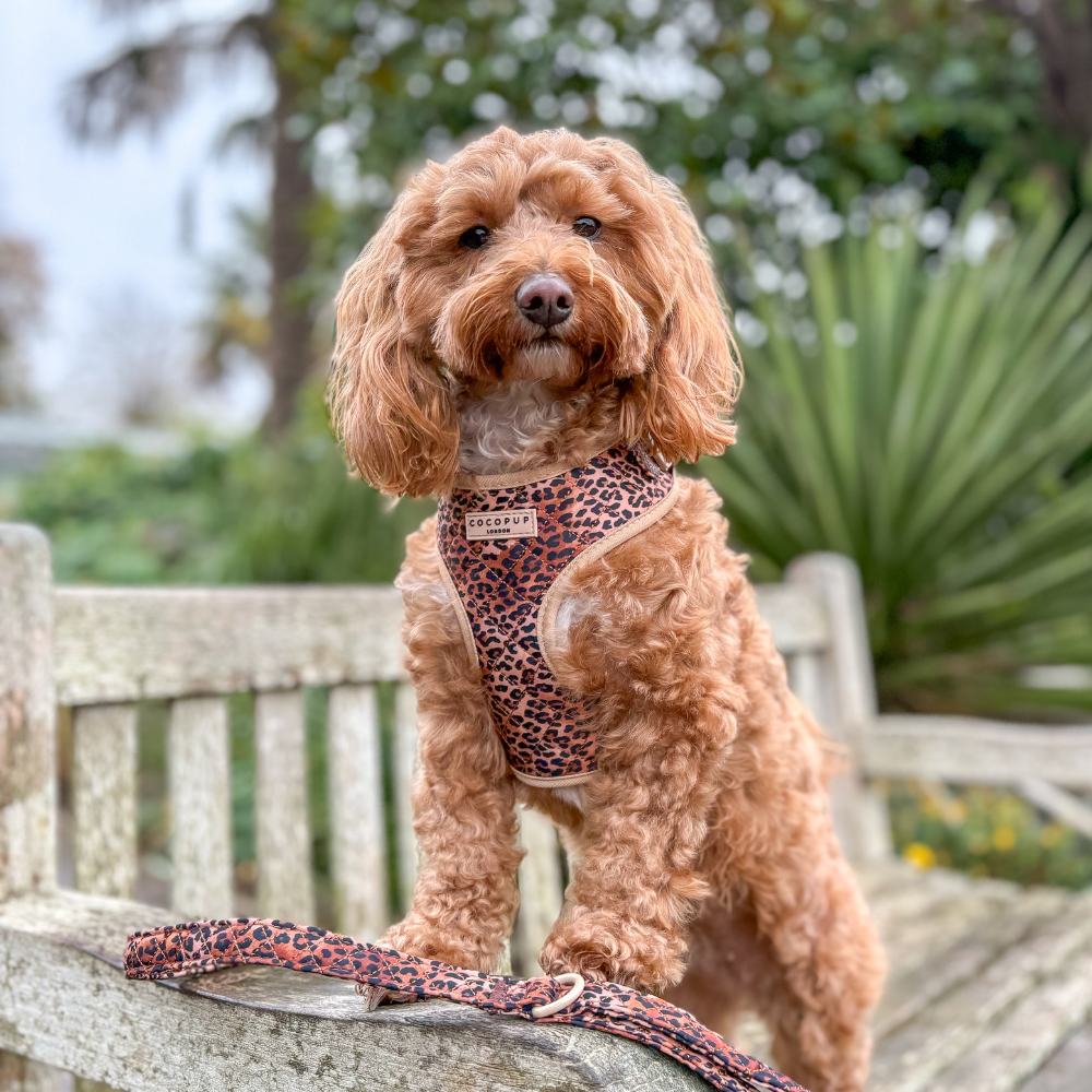 Cocopup London - Quilted Leopard Pup Lead