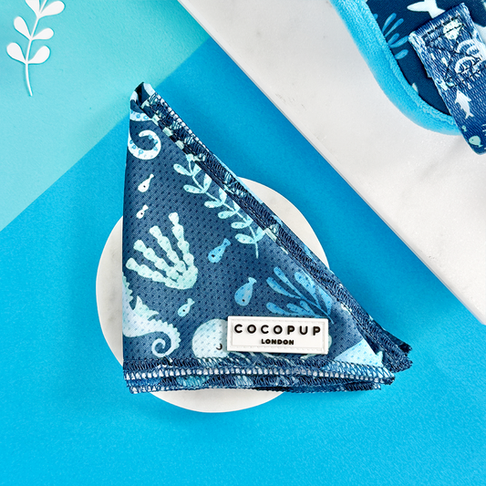 Cocopup London - Sea Life Pawty Bandana