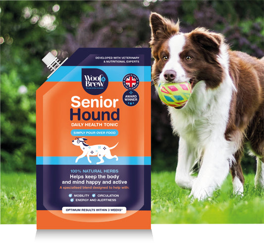 WOOF&BREW LTD - Senior Hound Joint Care Helps Keep Older Dogs Active
