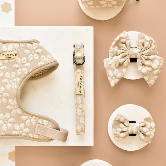 Cocopup London - LUXE Collar - Mocha Flower