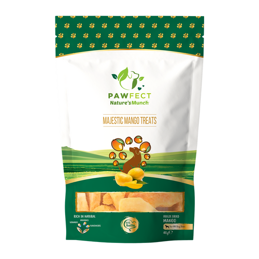 Pawfect Foods -Mango Treats for Dogs