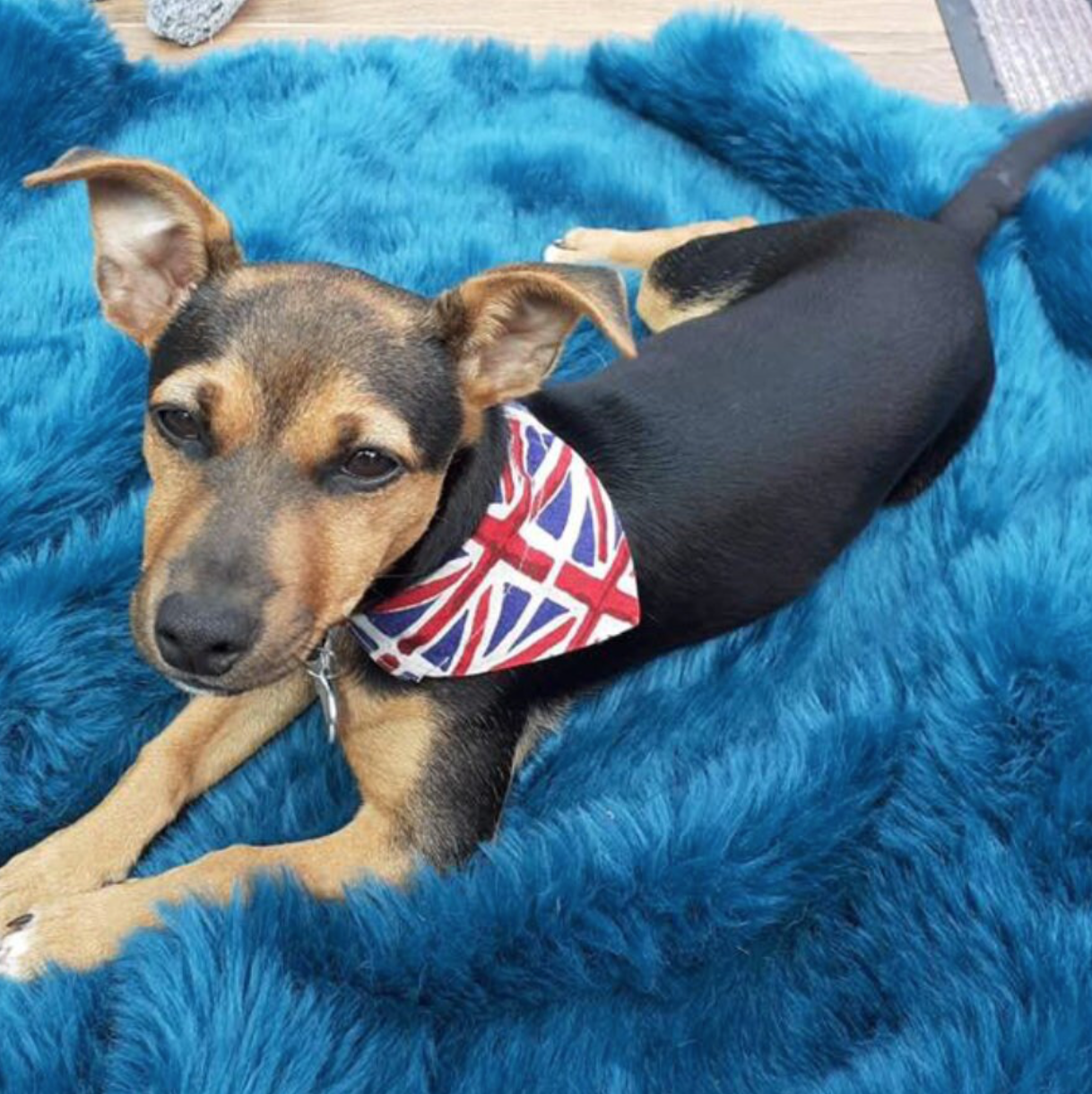 Storms Style - Union Flag Bandanas