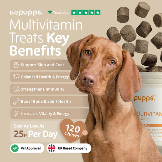 Multivitamin Treats