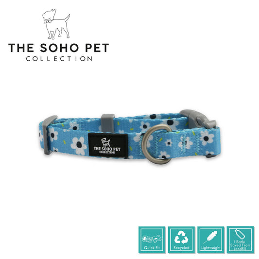 Ancol Pet Products Ltd - Soho Pet Collection Daisy Patterned Collar 45-70cm
