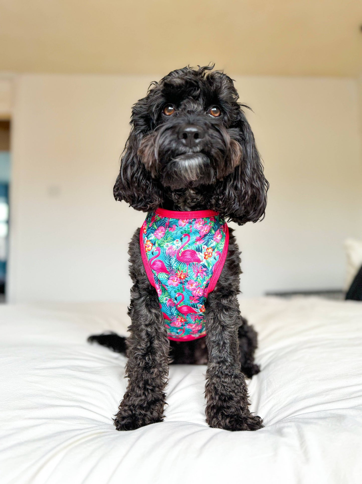 The Paw Print Boutique - The Tropical Pawradise Cooling Vest