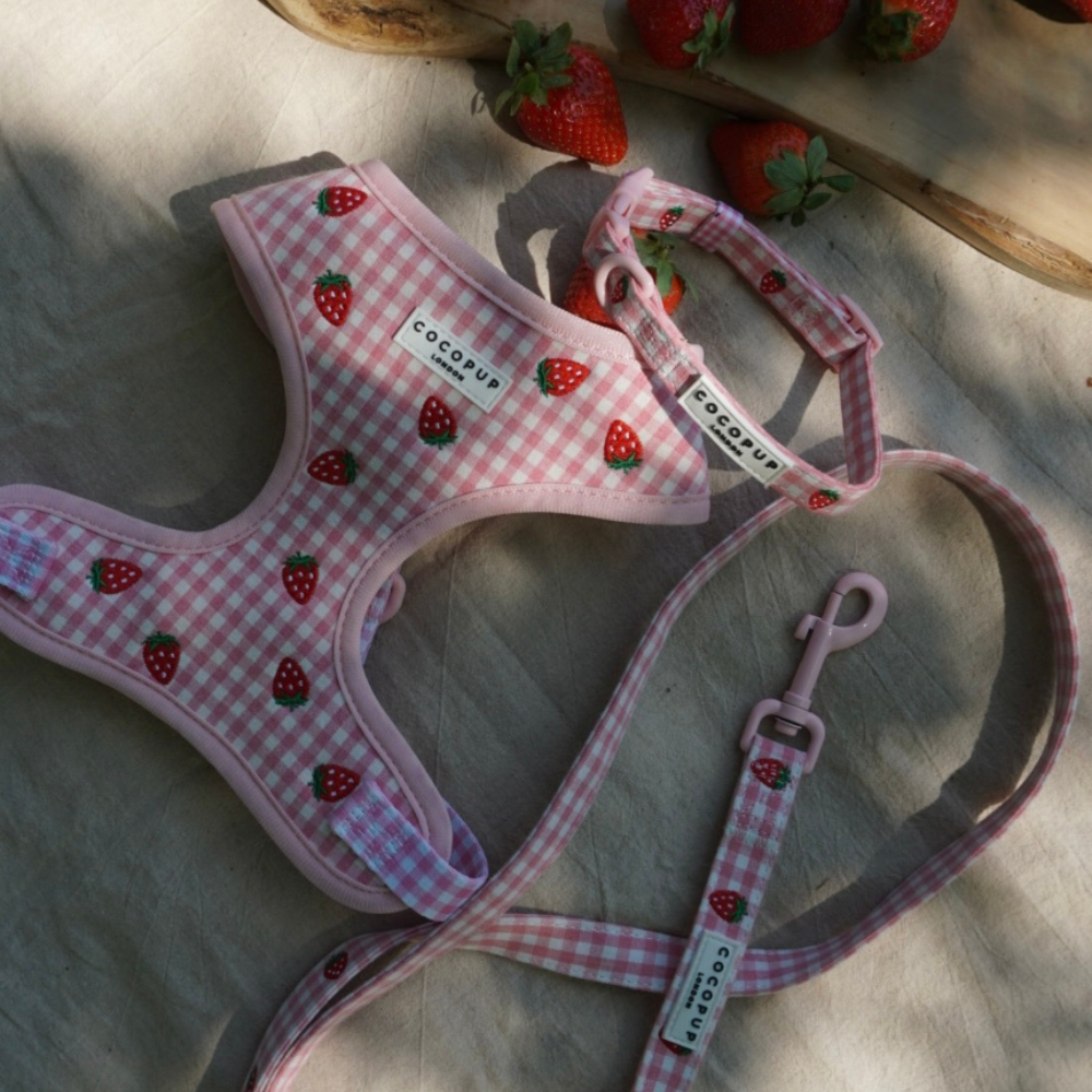 Cocopup London - Strawberry Picnic Pup COLLAR