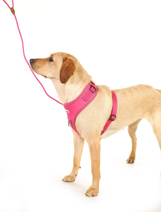 Doodlebone - Dog Rope Lead