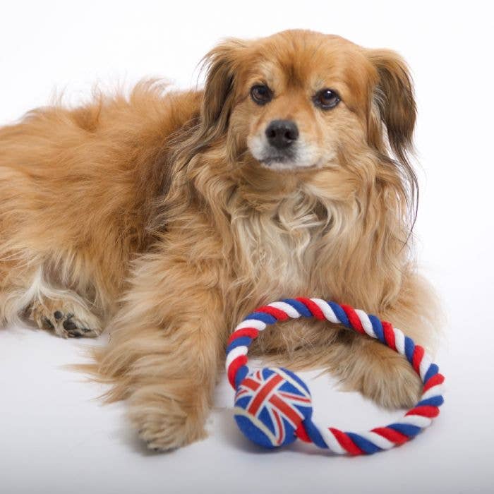 PetLondon - British Rope Ball Ring Dog Toy