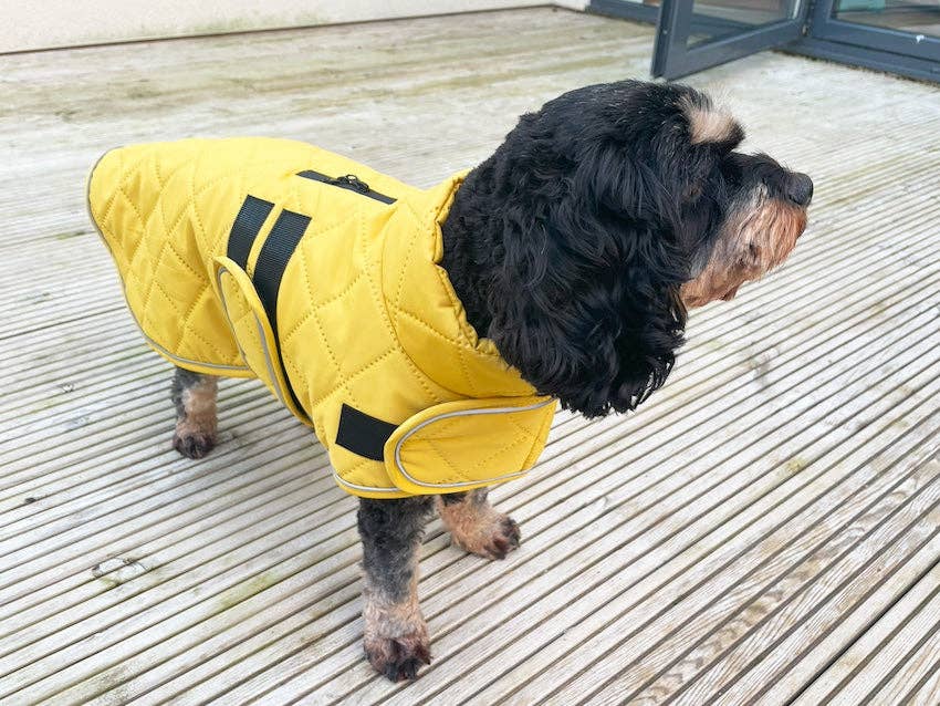 Victory Pet Products Ltd - Quilted Classic Dog Coat Mustard