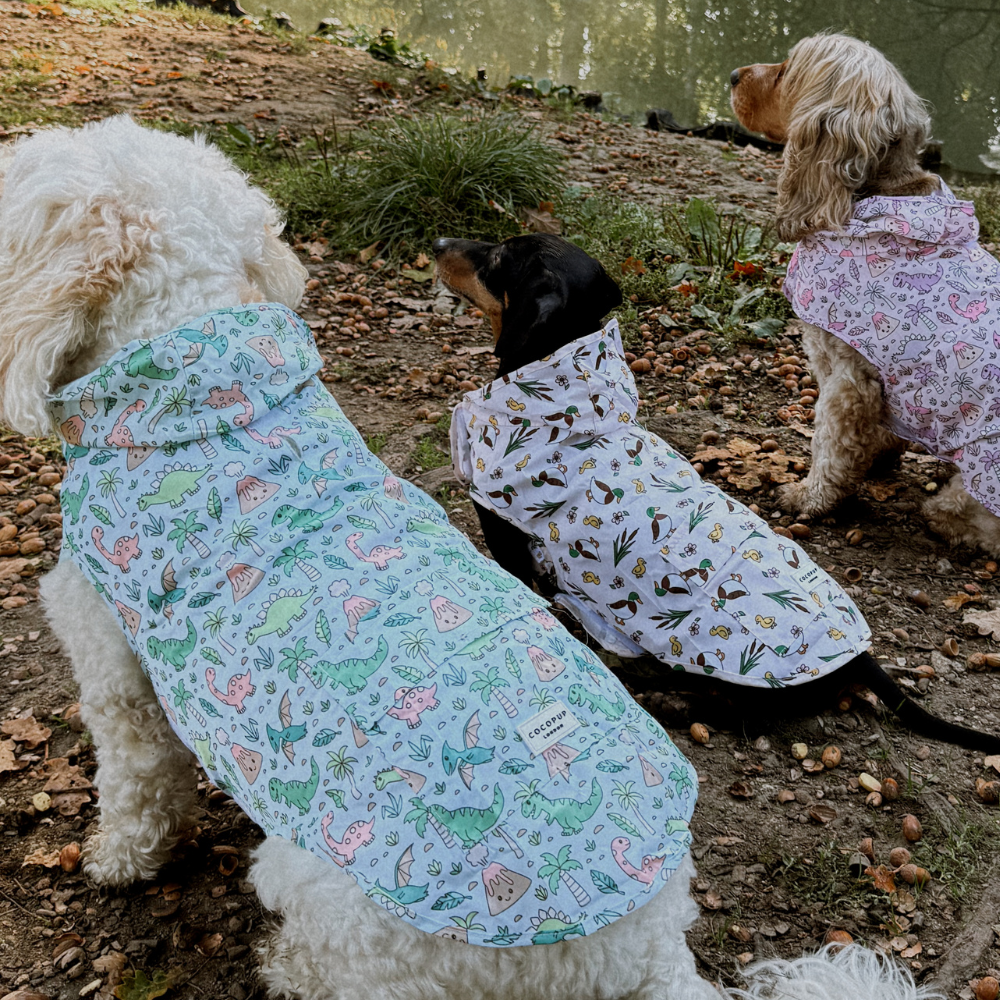 Cocopup London - Dog Raincoat - Puddle Pup