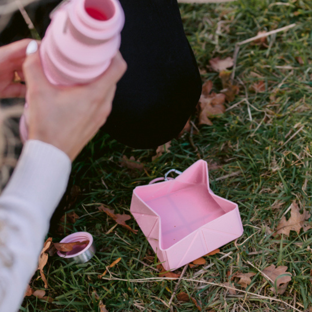 Cocopup London - Foldable Travel Bowl - Pink