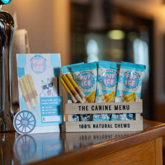 The Canine Menu - Pup Ice Lollies