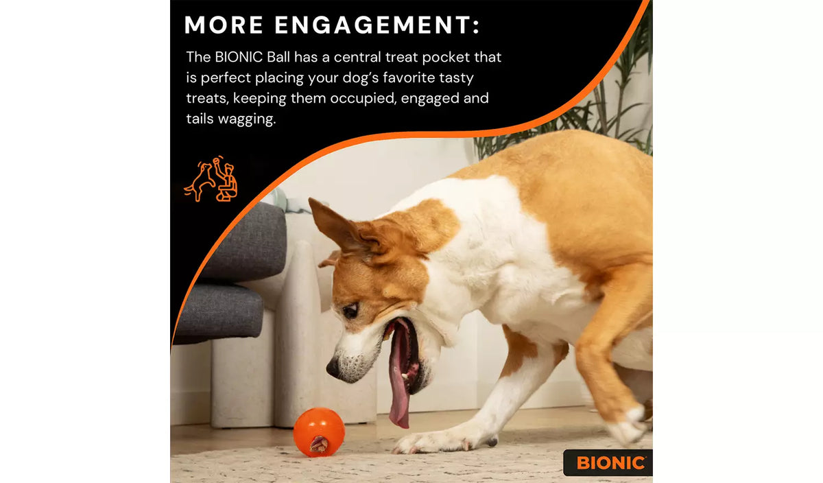 Bionic - Ball