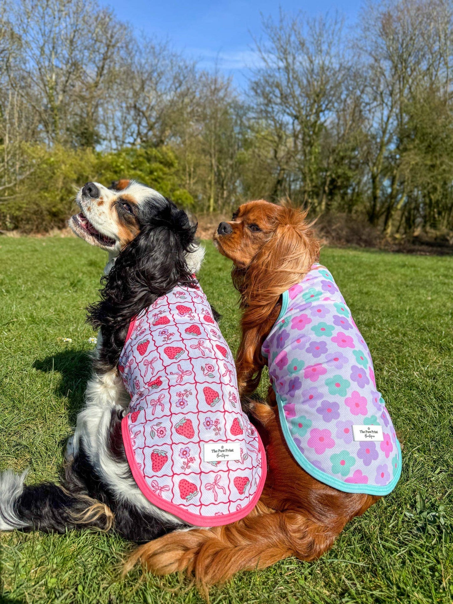 The Paw Print Boutique - The Bows & Berries Cooling Vest