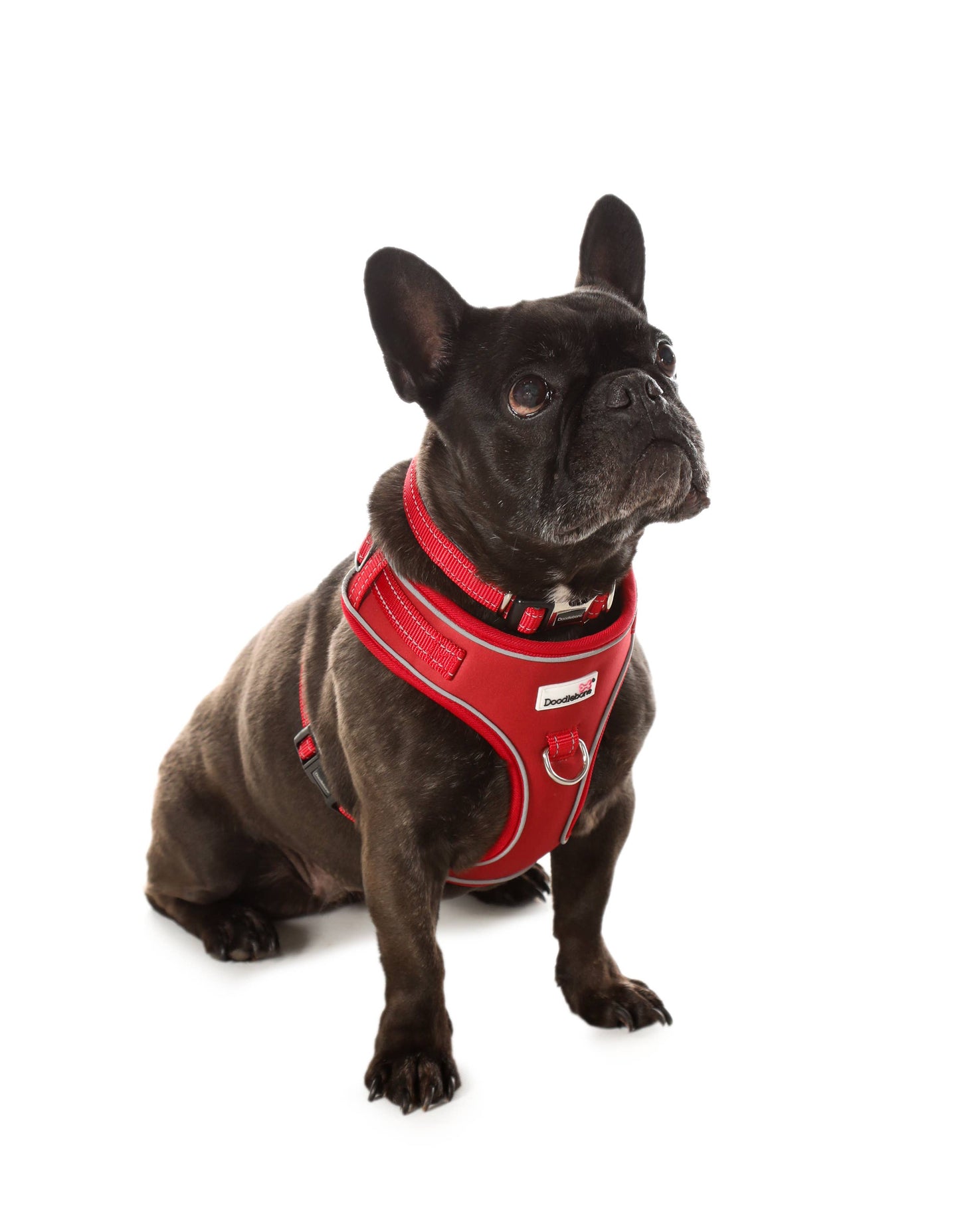 Doodlebone - Adjustable Airmesh Dog Harness