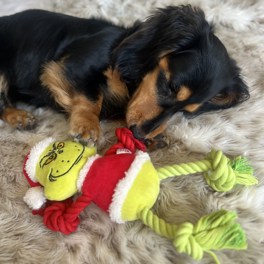 Fizz Creations Ltd - UK - The Grinch Rope Plush Dog Toy