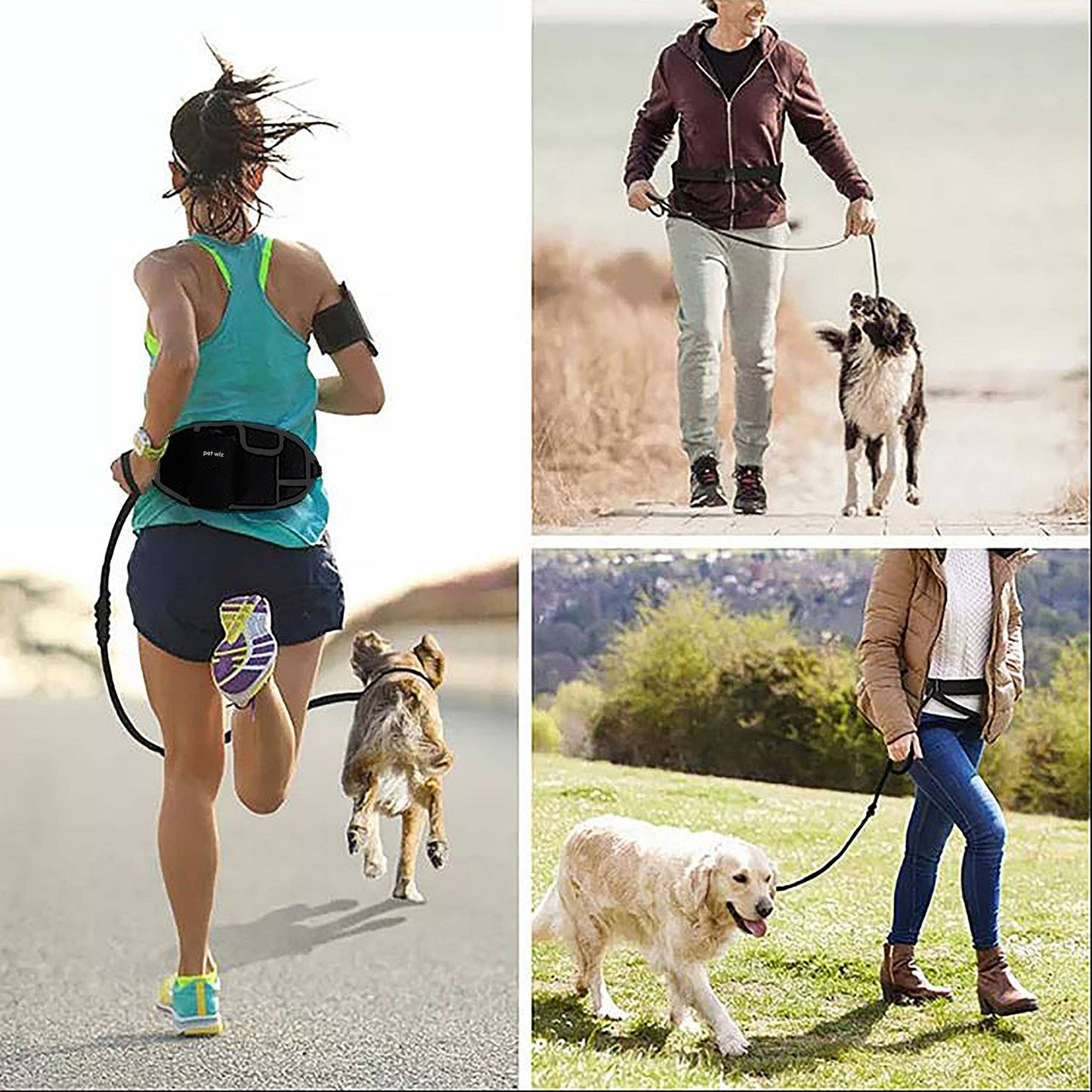 Pet Wiz - Hands Free Dog Running Lead with Wide Back Support Belt, Adjustable Waistband, Multiple Compartments, Dual Handles and Bungee Leads