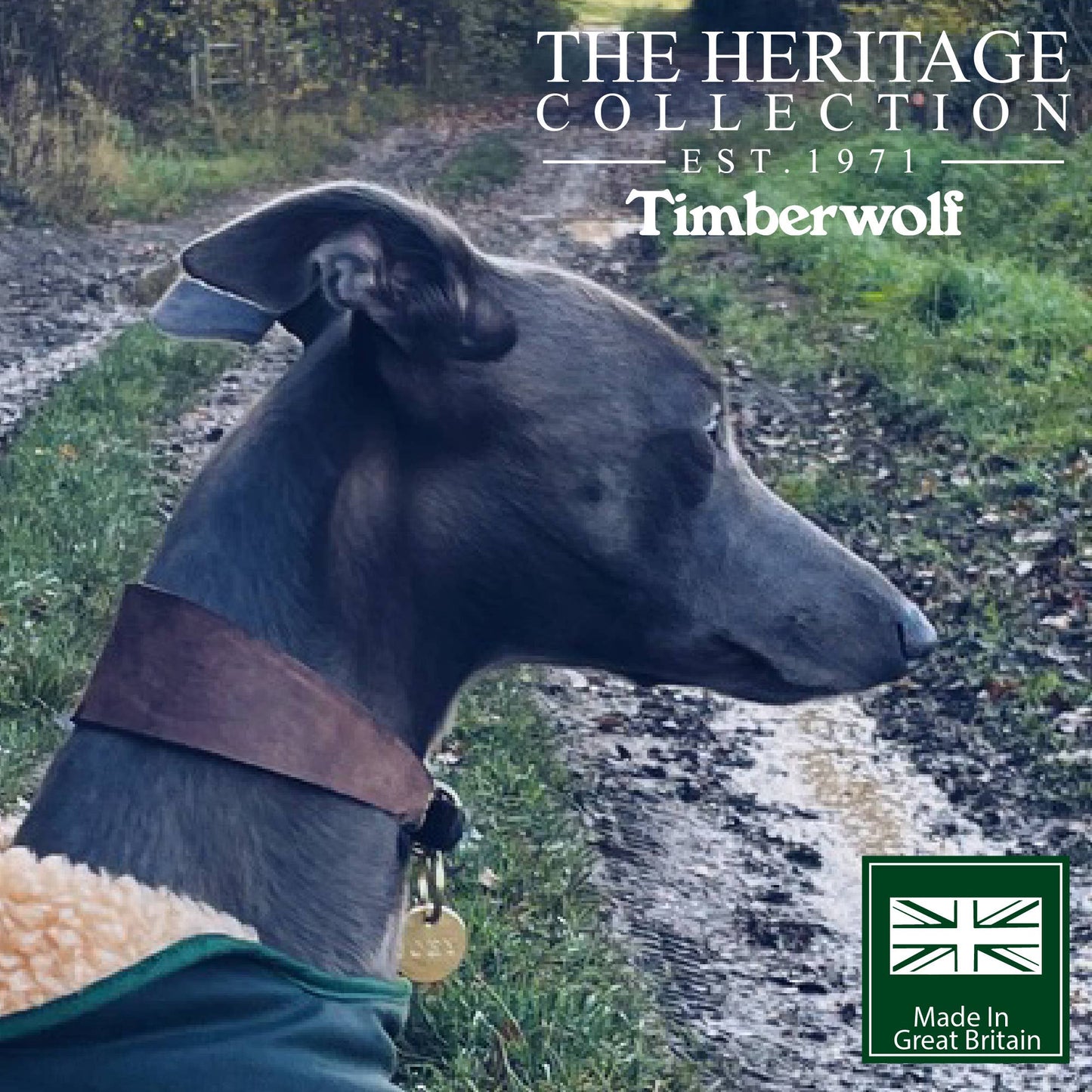 Ancol Pet Products Ltd - Timberwolf Leather Hound Collar ( Size 30-34cm)