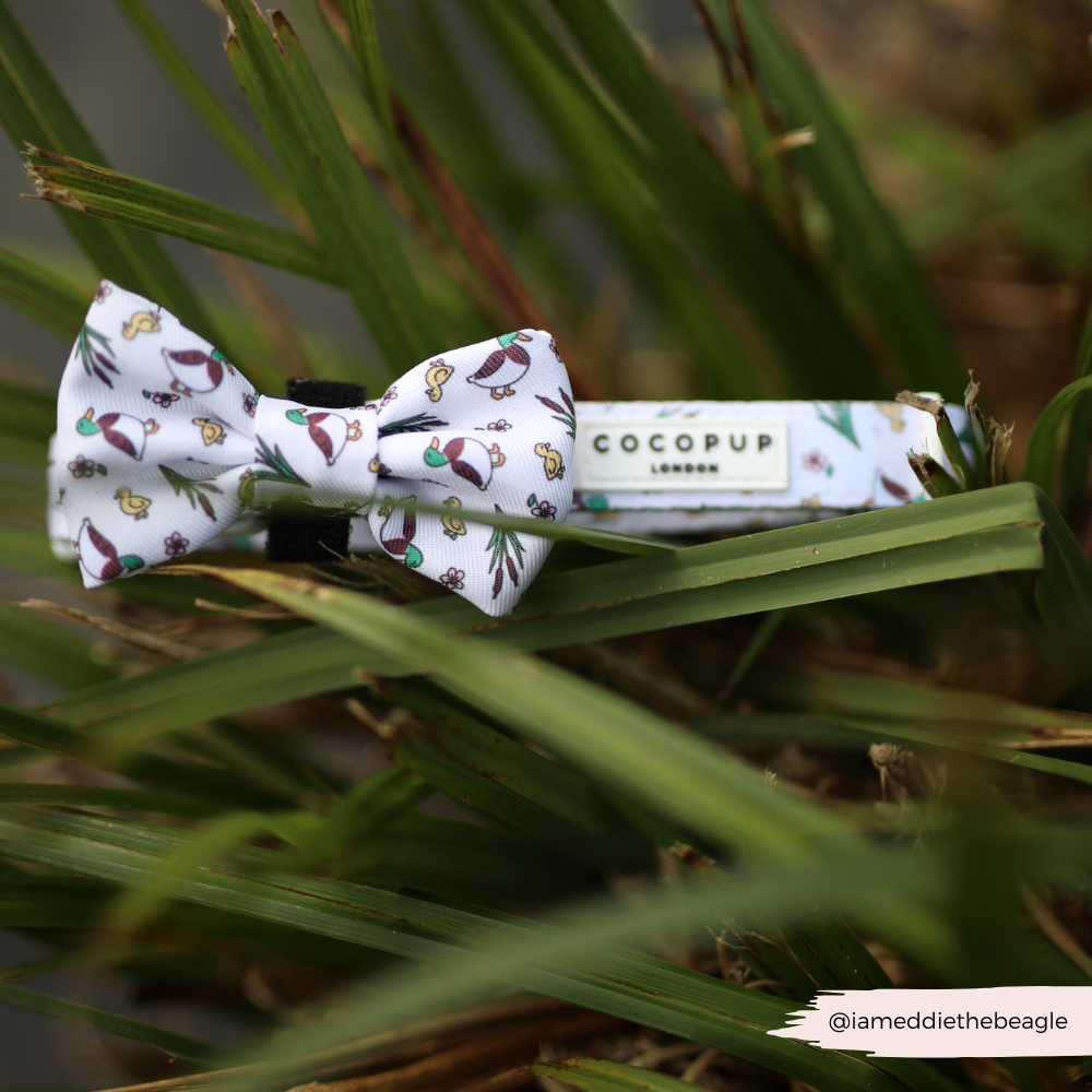 Cocopup London - Puddle Pup Collar