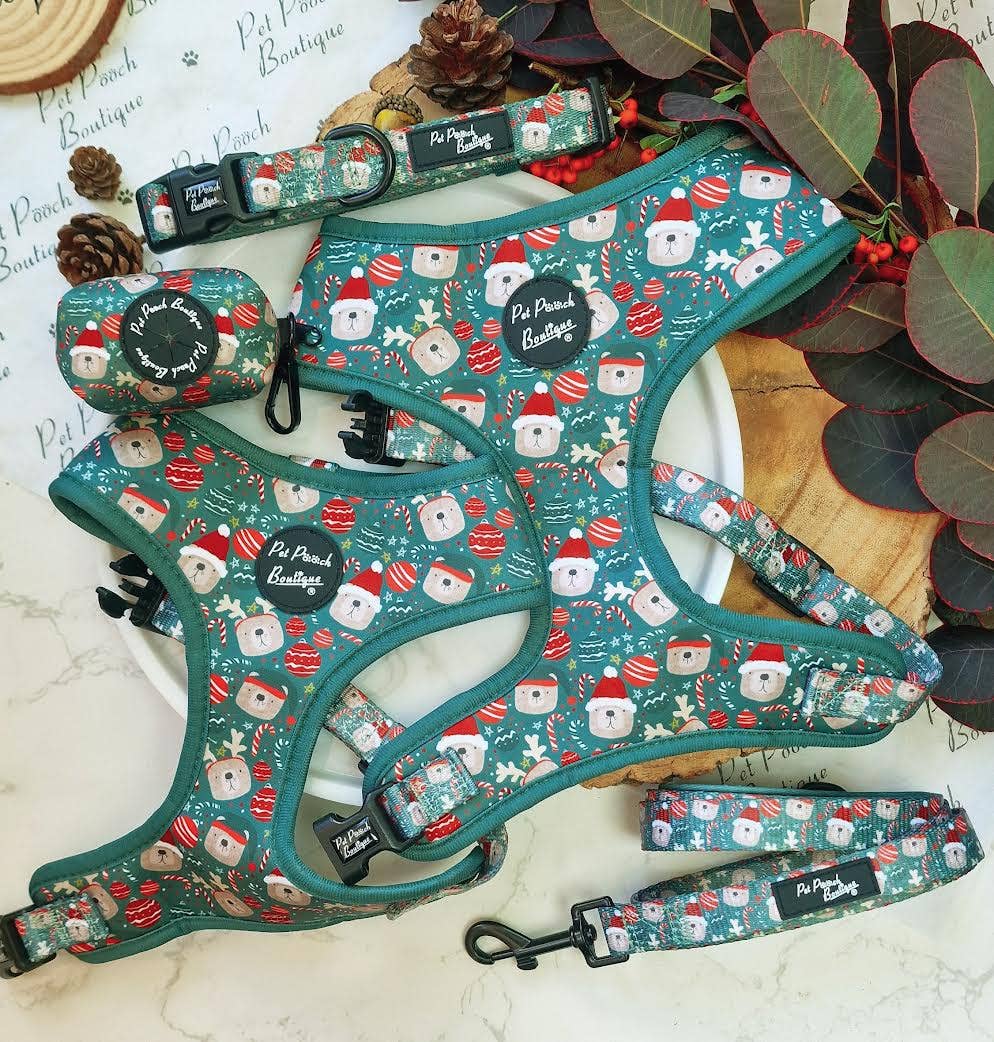 Pet Pooch Boutique - Jolly Bear Christmas Dog Lead - Green