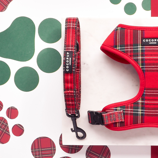 Cocopup London - Tartan Lead